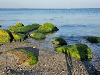 Ferienhaus Lohals  38