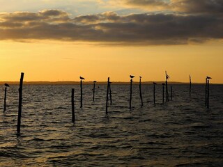 Vakantiehuis Lohals  37