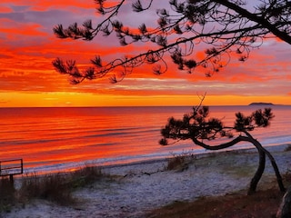 Casa per le vacanze Ebeltoft  42