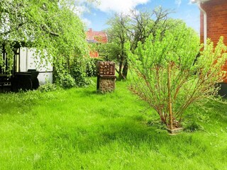Ferienhaus Vedum Außenaufnahme 2