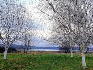 Ferienhaus Fåborg  37