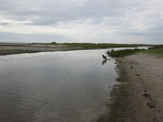 Casa de vacaciones Hals  13