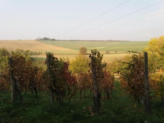 Chalet Horní Podluží Ambiente 26