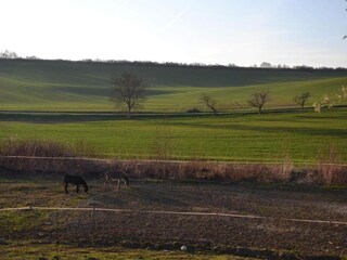 Chalet Horní Podluží Environment 29
