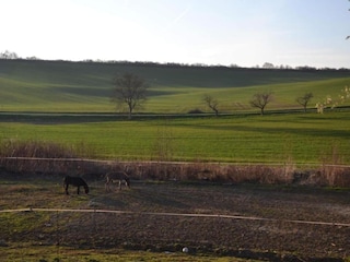 Chalet Horní Podluží Umgebung 34