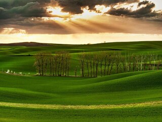 Chalet Horní Podluží Environnement 25