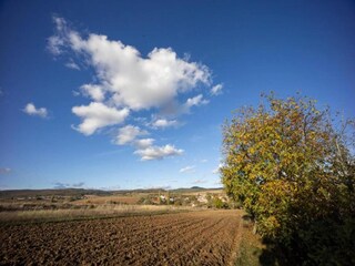 Chalet Horní Podluží Omgeving 31