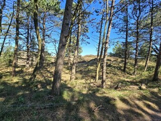 Holiday house Kongsmark  35