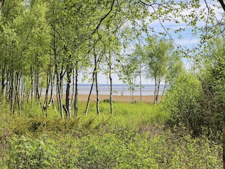 Vakantiehuis Als  15