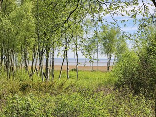 Casa per le vacanze Als  31