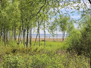 Vakantiehuis Als  33