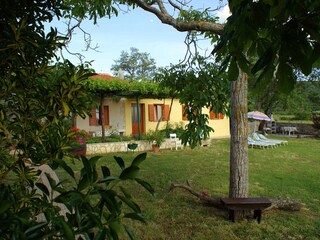 House with garden