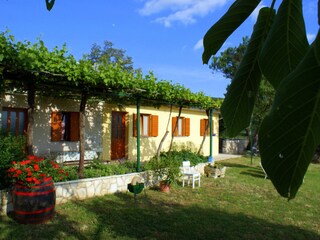 House with garden