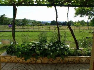 Blick aus dem Fenster