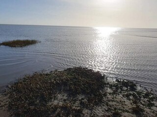 Ferienhaus Skærbæk  31