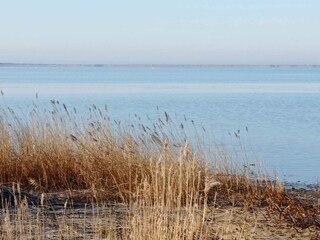 Ferienhaus Thorsminde  29