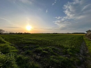 Holiday house Flovt Strand  24