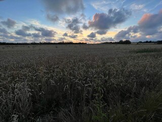 Vakantiehuis Henne Strand  7