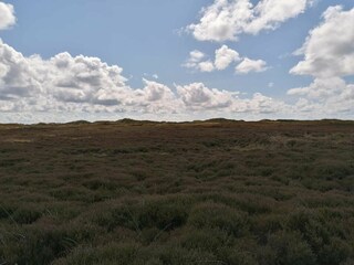 Ferienhaus Henne Strand  26