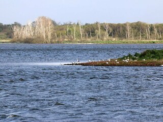 Vakantiehuis Henne Strand  21