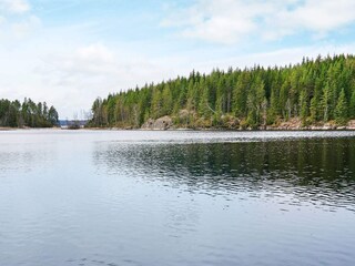 Maison de vacances Årjäng  21