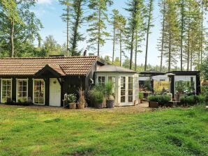 Holiday house 6 person holiday home in Holstebro - Vinderup - image1