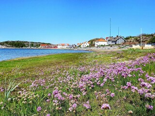 Ferienhaus Havstenssund  26