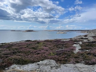 Ferienhaus Havstenssund  15