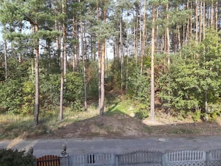 Vakantiehuis Welt Omgeving 26