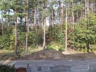 Vakantiehuis Welt Omgeving 35