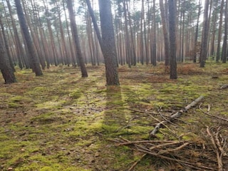 Ferienhaus Welt Umgebung 17