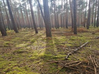 Vakantiehuis Welt Omgeving 17