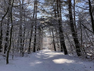 Ferienhaus Welt Umgebung 23