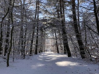 Holiday house Welt Environment 23