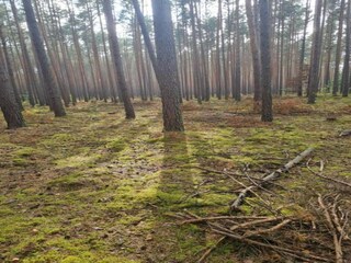 Casa de vacaciones Welt Entorno 26