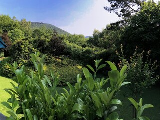 Chalet Aywaille Grabación al aire libre 12