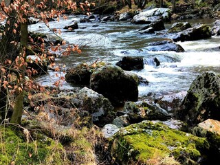 Chalet Aywaille Omgeving 26