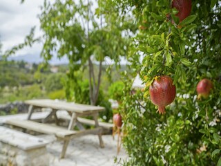 Holiday house Leonidio Outdoor Recording 3