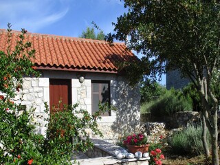 Vakantiehuis Leonidio  37