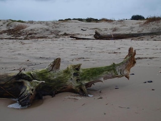 Ferienhaus Tversted  34