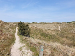 Ferienhaus Tversted  14