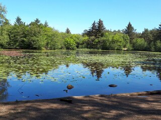 Maison de vacances Tversted  32