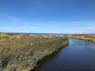 Ferienhaus Tversted  30