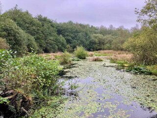 Maison de vacances Ansager  11