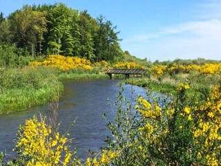 Vakantiehuis Ansager  8