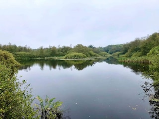 Vakantiehuis Ansager  9