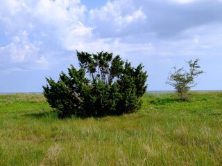 Vakantiehuis Gedesby  20