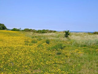 Casa per le vacanze Gedesby  15