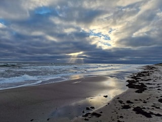 Ferienhaus Gedesby  29