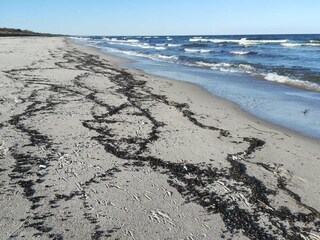 Vakantiehuis Gedesby  39